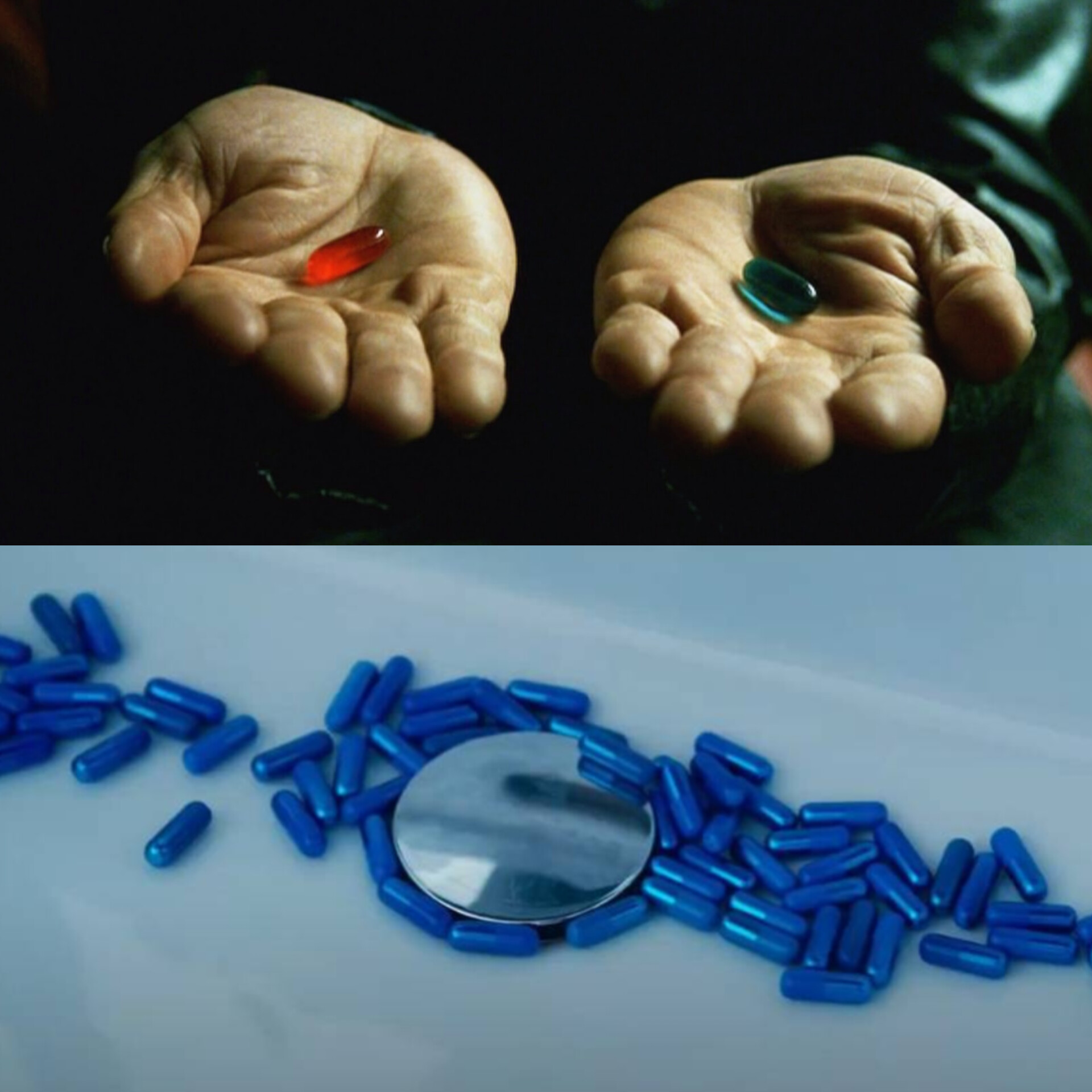 Matrix blue pill Blank Meme Template