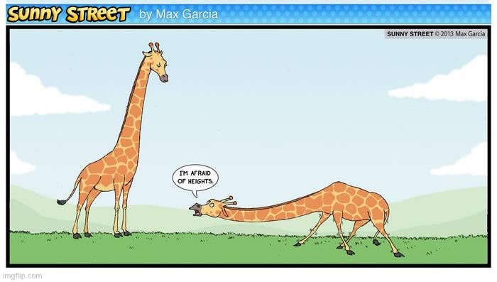 image tagged in comics,sunny street,giraffes,fear of heights | made w/ Imgflip meme maker