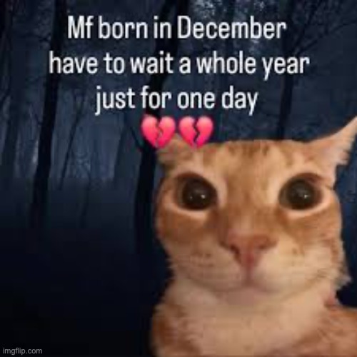 image tagged in msmg | made w/ Imgflip meme maker