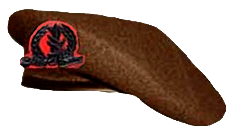 idf hat beret Blank Meme Template