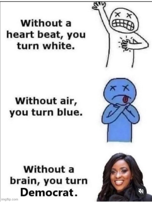 Nothing but the truth these days.... | image tagged in democrats,double standards,no standards,opposite day,stupid liberals | made w/ Imgflip meme maker