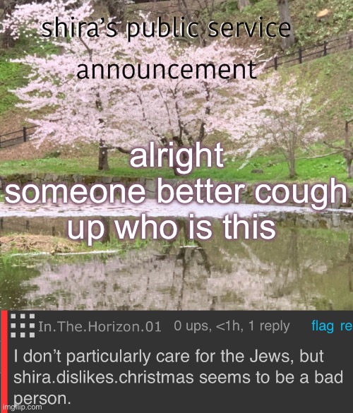 alright someone better cough up who is this | image tagged in shira s psa | made w/ Imgflip meme maker