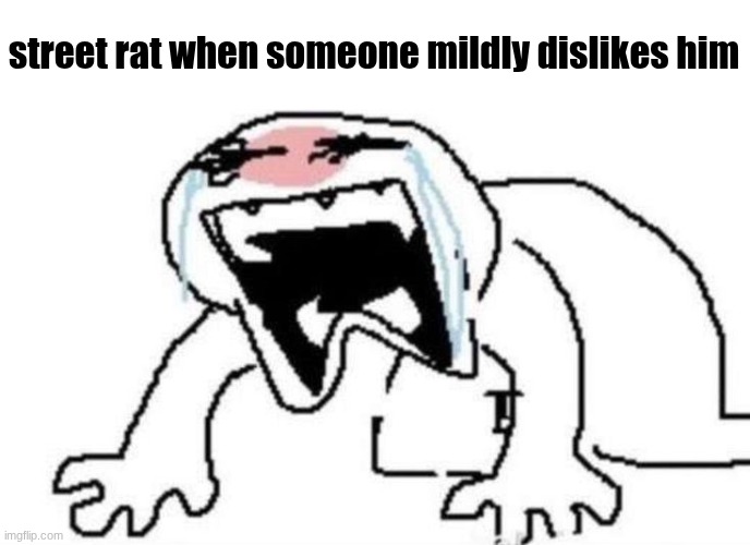 Ugly Crying | street rat when someone mildly dislikes him | image tagged in ugly crying | made w/ Imgflip meme maker