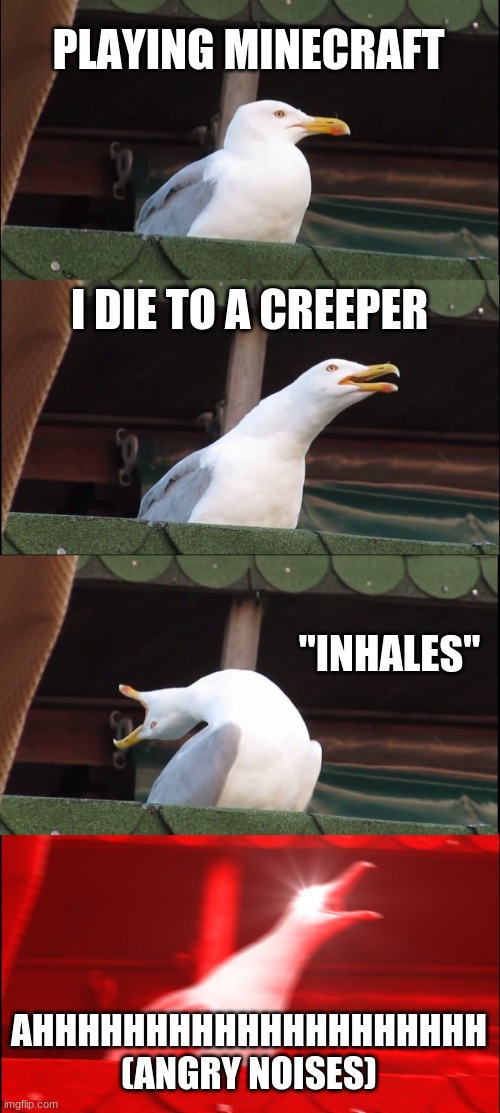 You die to a creeper in minecraft but have 3 years of experience... | PLAYING MINECRAFT; I DIE TO A CREEPER; "INHALES"; AHHHHHHHHHHHHHHHHHHHH (ANGRY NOISES) | image tagged in memes,inhaling seagull,minecraft memes | made w/ Imgflip meme maker