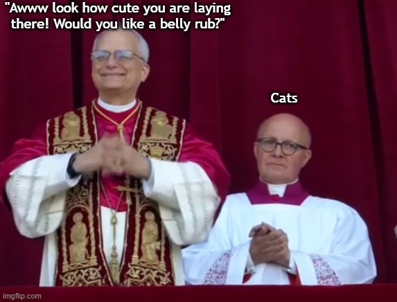Mewwwww | "Awww look how cute you are laying there! Would you like a belly rub?"; Cats | image tagged in pope leo xiv is happy,cats,pets | made w/ Imgflip meme maker