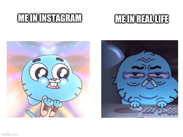 ME IN INSTAGRAM; ME IN REAL LIFE | image tagged in the amazing world of gumball,relatable memes | made w/ Imgflip meme maker