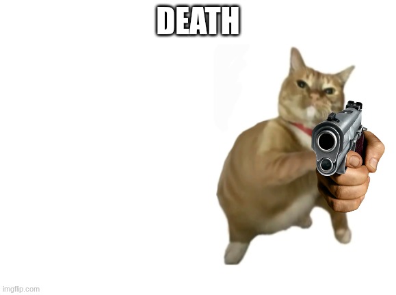 throwing cat new | DEATH | image tagged in throwing cat new | made w/ Imgflip meme maker