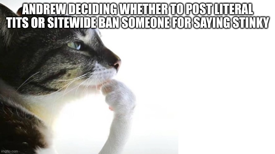(SATIRE) | ANDREW DECIDING WHETHER TO POST LITERAL TITS OR SITEWIDE BAN SOMEONE FOR SAYING STINKY | image tagged in thinker | made w/ Imgflip meme maker