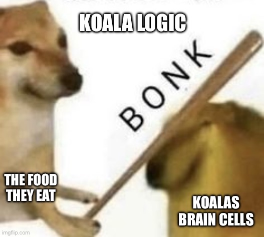 Koalas brains | KOALA LOGIC; THE FOOD THEY EAT; KOALAS BRAIN CELLS | image tagged in bonk | made w/ Imgflip meme maker