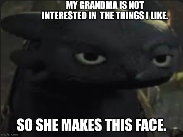i need comments | MY GRANDMA IS NOT INTERESTED IN  THE THINGS I LIKE. SO SHE MAKES THIS FACE. | image tagged in dragon | made w/ Imgflip meme maker