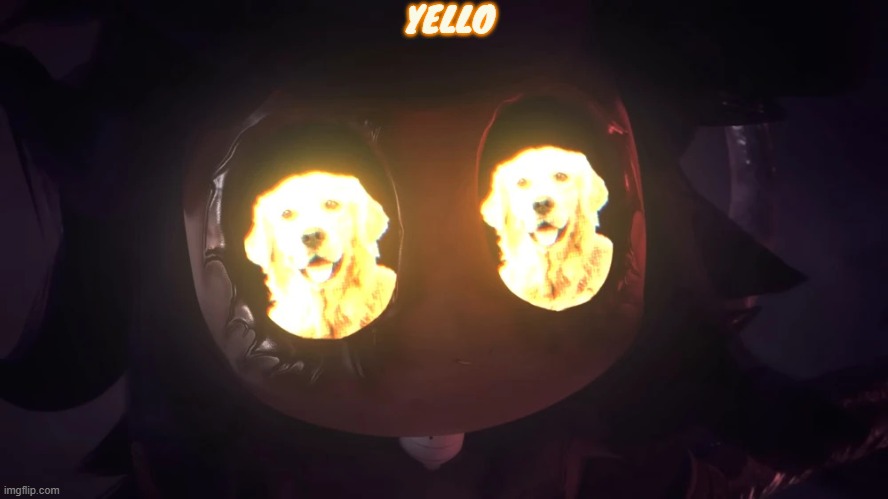 Doggy eyes :3 | YELLO | image tagged in doggy eyes 3 | made w/ Imgflip meme maker