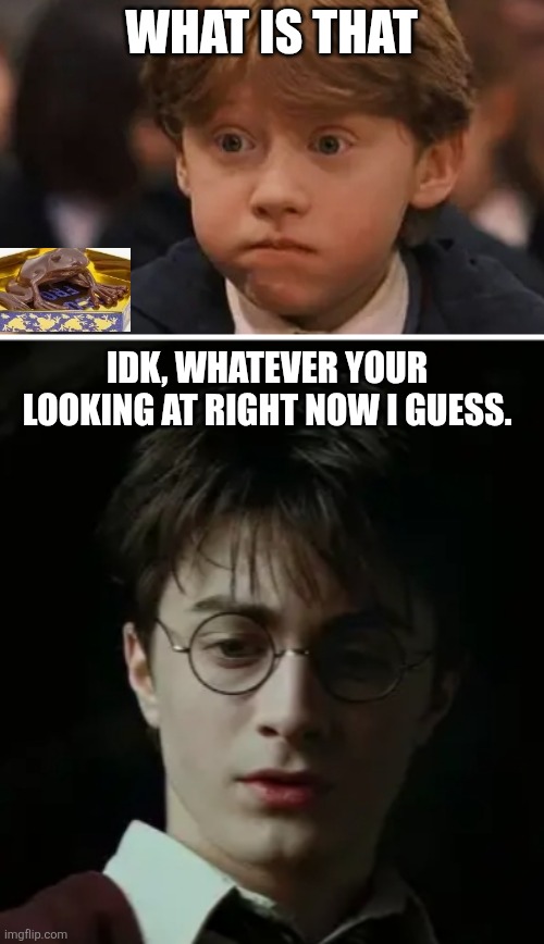 Ron comfusion | WHAT IS THAT; IDK, WHATEVER YOUR LOOKING AT RIGHT NOW I GUESS. | image tagged in ron | made w/ Imgflip meme maker