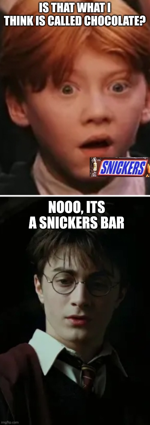 Sarcasim | IS THAT WHAT I THINK IS CALLED CHOCOLATE? NOOO, ITS A SNICKERS BAR | image tagged in funny memes | made w/ Imgflip meme maker