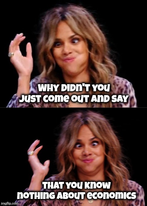 Lovely Halle Berry | Why didn't you just come out and say that you know nothing about economics | image tagged in lovely halle berry | made w/ Imgflip meme maker