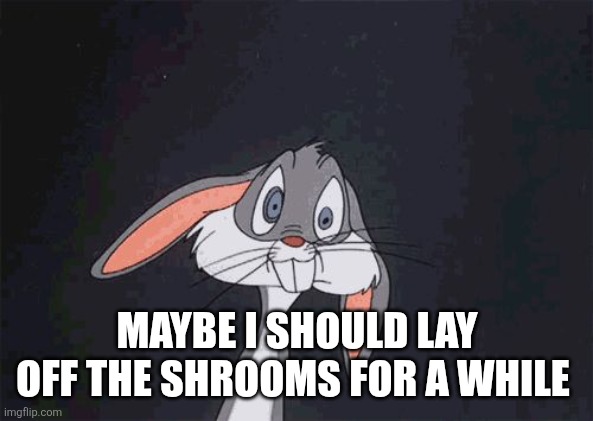 Bugs Bunny Freaks Out | MAYBE I SHOULD LAY OFF THE SHROOMS FOR A WHILE | image tagged in bugs bunny freaks out | made w/ Imgflip meme maker