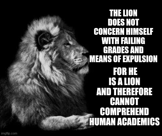 meme | FOR HE IS A LION AND THEREFORE CANNOT COMPREHEND HUMAN ACADEMICS; THE LION DOES NOT CONCERN HIMSELF WITH FAILING GRADES AND MEANS OF EXPULSION | image tagged in the lion,meme,school,funny | made w/ Imgflip meme maker