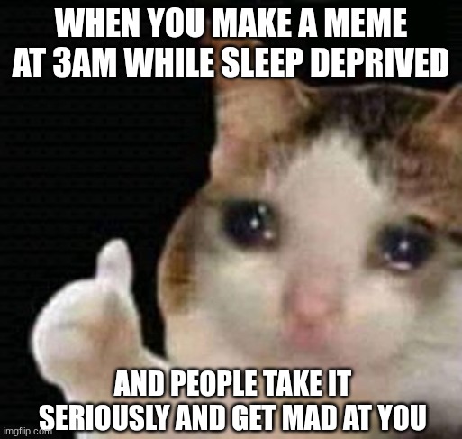 Or they just rant at you about their opinions | WHEN YOU MAKE A MEME AT 3AM WHILE SLEEP DEPRIVED; AND PEOPLE TAKE IT SERIOUSLY AND GET MAD AT YOU | image tagged in sad thumbs up cat,3am,no sleep,bare bottom spanking | made w/ Imgflip meme maker
