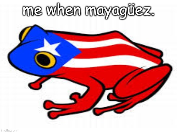 Me when Mayaguez | me when mayagüez. | image tagged in puerto rico,frog | made w/ Imgflip meme maker