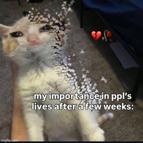 37 days and I'll be forgotten | made w/ Imgflip meme maker