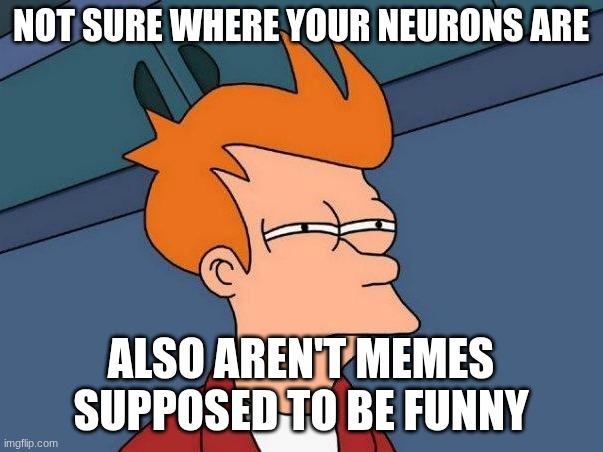 skeptical fry | NOT SURE WHERE YOUR NEURONS ARE ALSO AREN'T MEMES SUPPOSED TO BE FUNNY | image tagged in skeptical fry | made w/ Imgflip meme maker