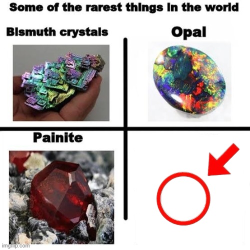 Some of the rarest things in the world | image tagged in some of the rarest things in the world | made w/ Imgflip meme maker