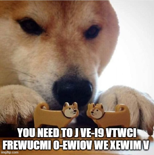 Shiba Making Toys Kiss | YOU NEED TO J VE-I9 VTWCI FREWUCMI 0-EWIOV WE XEWIM V | image tagged in shiba making toys kiss | made w/ Imgflip meme maker
