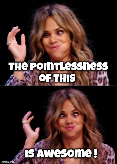 The pointlessness of this is awesome ! | image tagged in lovely halle berry | made w/ Imgflip meme maker