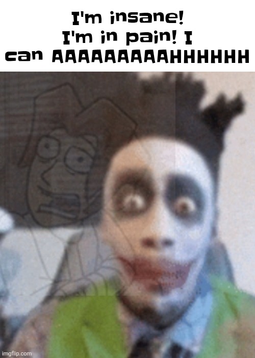 I'm insane! I'm in pain! I can AAAAAAAAAHHHHHH | made w/ Imgflip meme maker