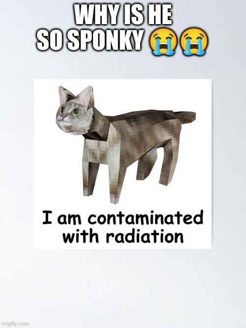 spoinker | WHY IS HE SO SPONKY 😭😭 | image tagged in low poly | made w/ Imgflip meme maker