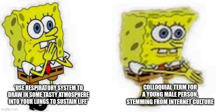 verbose | *USE RESPIRATORY SYSTEM TO DRAW IN SOME TASTY ATMOSPHERE INTO YOUR LUNGS TO SUSTAIN LIFE*; COLLOQUIAL TERM FOR A YOUNG MALE PERSON, STEMMING FROM INTERNET CULTURE | image tagged in spongebob inhale boi | made w/ Imgflip meme maker