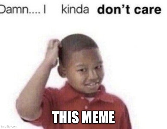 Damn...I kinda don't care | THIS MEME | image tagged in damn i kinda don't care | made w/ Imgflip meme maker