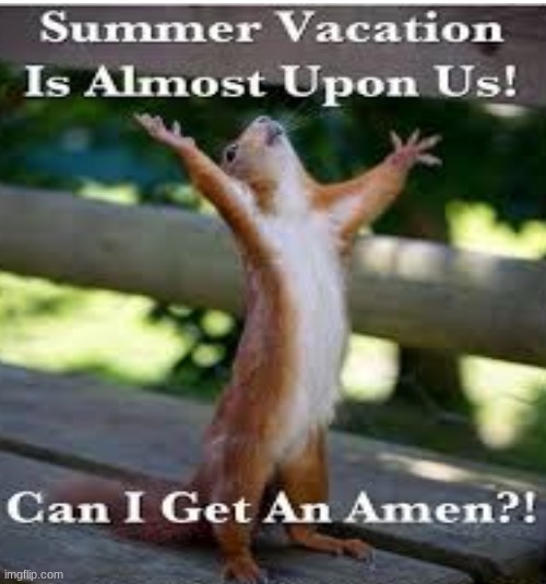 image tagged in funny | made w/ Imgflip meme maker