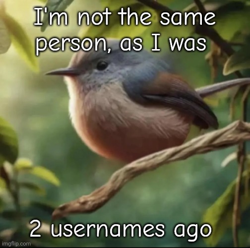 No balls | I'm not the same person, as I was; 2 usernames ago | image tagged in no balls | made w/ Imgflip meme maker