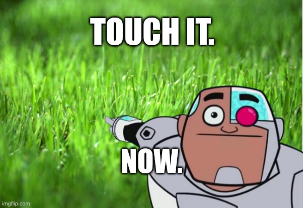 grass is greener | TOUCH IT. NOW. | image tagged in grass is greener | made w/ Imgflip meme maker