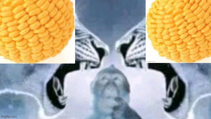 Lion roaring at lion with confused monkey | image tagged in lion roaring at lion with confused monkey | made w/ Imgflip meme maker