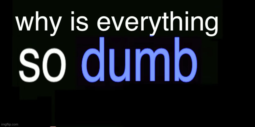 Why is everything so dumb | image tagged in why is everything so dumb | made w/ Imgflip meme maker