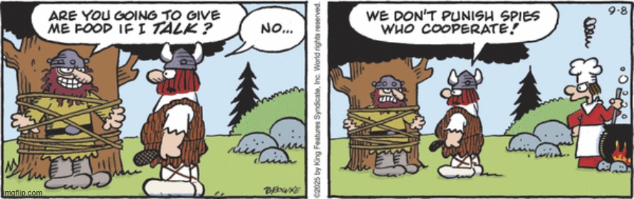 Hagar The Horrible | image tagged in comics | made w/ Imgflip meme maker
