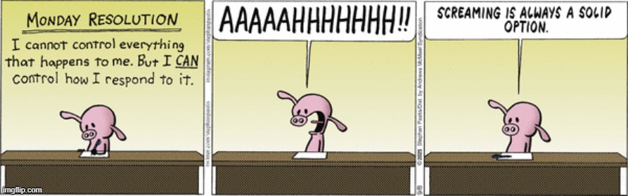 Pearls Before Swine | image tagged in comics | made w/ Imgflip meme maker