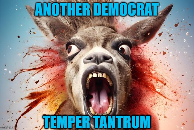 Democrat temper tantrum | ANOTHER DEMOCRAT; TEMPER TANTRUM | image tagged in democrats,temper tantrum | made w/ Imgflip meme maker
