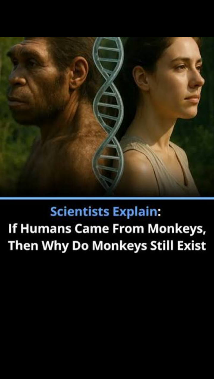 High Quality Funny Blank Meme Template