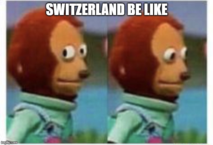 side eye teddy | SWITZERLAND BE LIKE | image tagged in side eye teddy | made w/ Imgflip meme maker