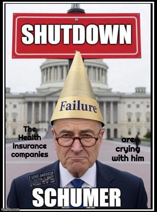 "You get nothing , good day Sir" - Willy Wonka | are crying with him; The Health Insurance companies | image tagged in democrats democratting,wow look nothing,forty days,politician vacation,task failed successfully | made w/ Imgflip meme maker