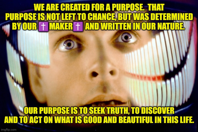 The Good, the True, and the Beautiful | WE ARE CREATED FOR A PURPOSE.  THAT PURPOSE IS NOT LEFT TO CHANCE, BUT WAS DETERMINED BY OUR ✝️MAKER✝️ AND WRITTEN IN OUR NATURE. OUR PURPOSE IS TO SEEK TRUTH, TO DISCOVER AND TO ACT ON WHAT IS GOOD AND BEAUTIFUL IN THIS LIFE. | image tagged in my god it's full of stars,christianity,jesus christ,western culture,transcendentals,cs lewis | made w/ Imgflip meme maker