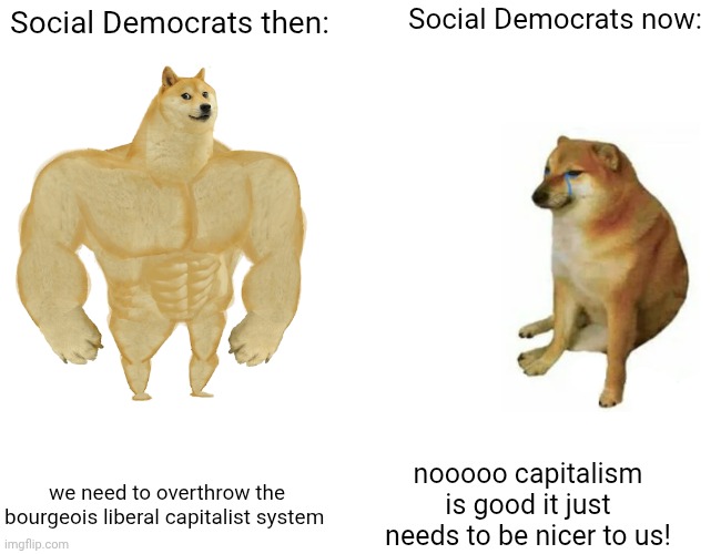 Buff Doge vs. Cheems | Social Democrats now:; Social Democrats then:; we need to overthrow the bourgeois liberal capitalist system; nooooo capitalism is good it just needs to be nicer to us! | image tagged in memes,buff doge vs cheems | made w/ Imgflip meme maker