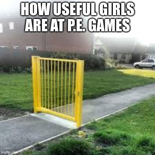 Unless the girl plays a sport like SoftBall Xp | HOW USEFUL GIRLS ARE AT P.E. GAMES | image tagged in useless gate,school,boys vs girls,memes,dank memes | made w/ Imgflip meme maker