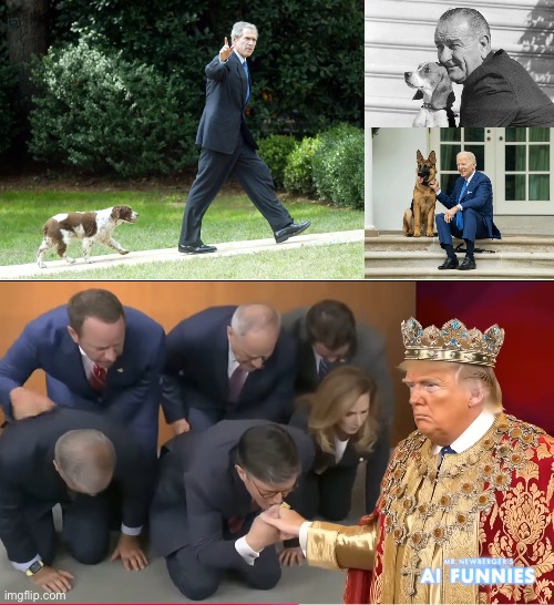 image tagged in donald trump approves | made w/ Imgflip meme maker