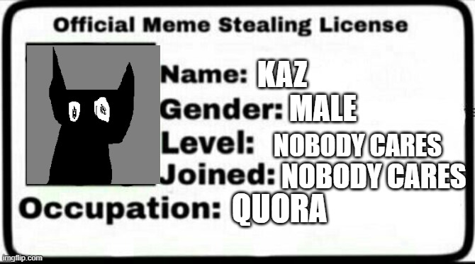 kaz is my quora username | KAZ; MALE; NOBODY CARES; NOBODY CARES; QUORA | image tagged in meme stealing license | made w/ Imgflip meme maker