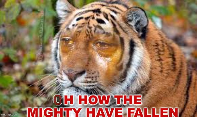 Clemson Ohio state meme | H HOW THE MIGHTY HAVE FALLEN | image tagged in memes,college football,football,ohio state buckeyes,ohio state,clemson | made w/ Imgflip meme maker