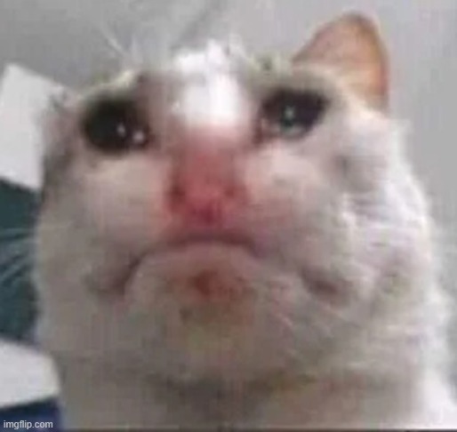 imma change felly's design a little. request me some features | made w/ Imgflip meme maker