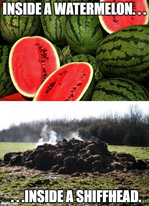 INSIDE A WATERMELON. . . . . .INSIDE A SHIFFHEAD. | image tagged in watermelons,steaming pile of shit | made w/ Imgflip meme maker